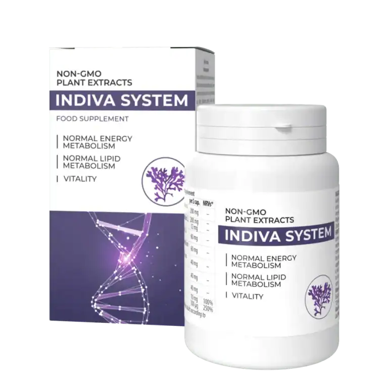 InDiva System